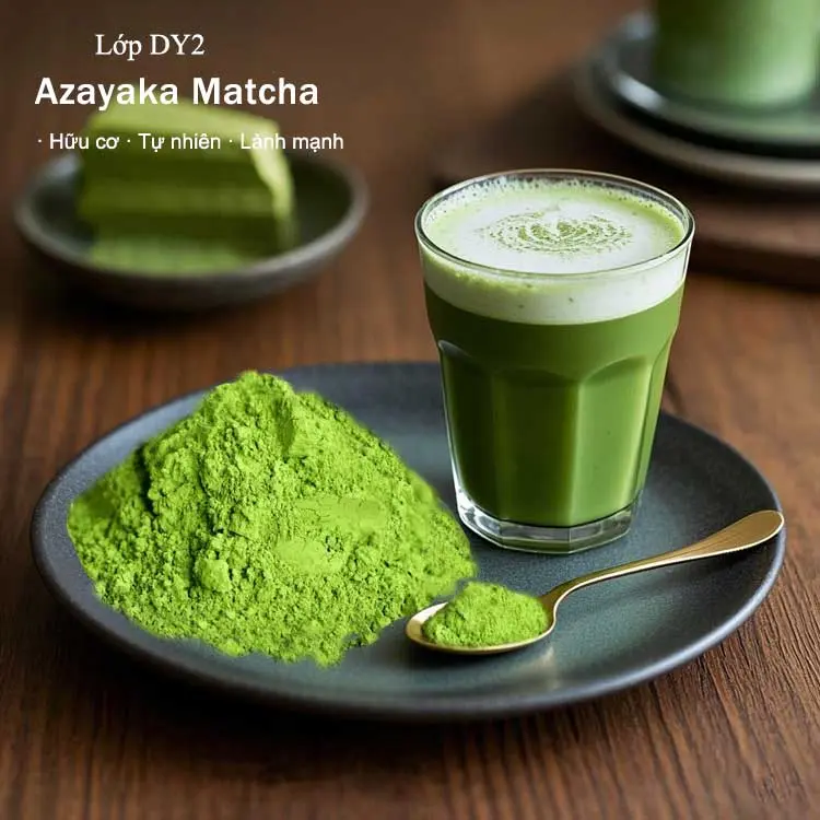 Bột matcha DY2